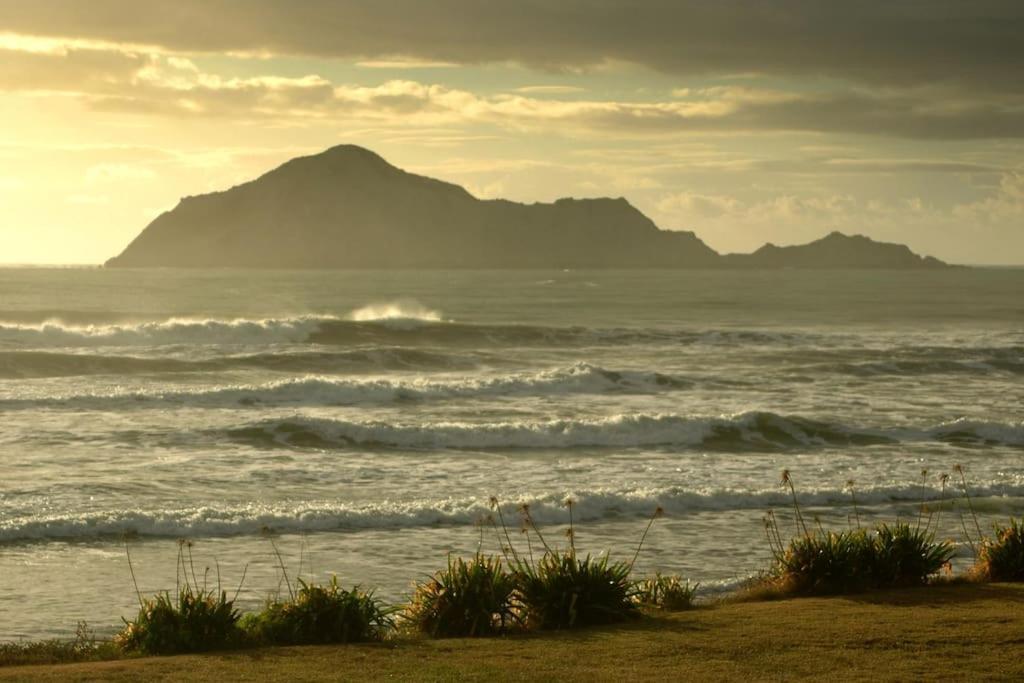 Cape South Estate - International Award-Winning Country Estate With Pacific Views Havelock North Exterior photo
